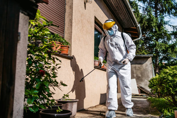 Best Pest Inspection Near Me  in Wellman, IA