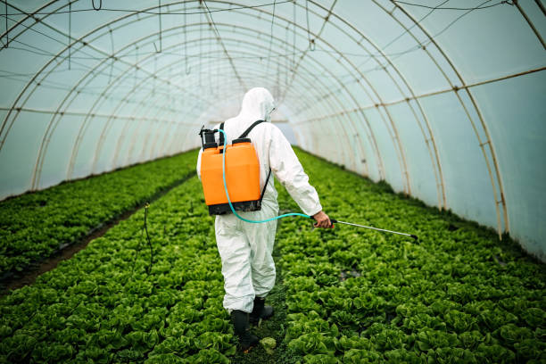 Best Pest Control Near Me  in Wellman, IA